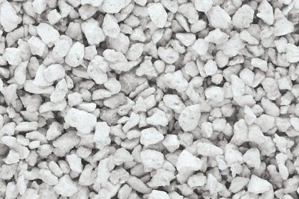 Medium Natural Talus