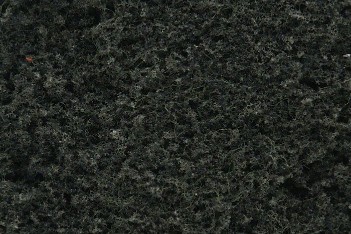 Foliage Conifer Green