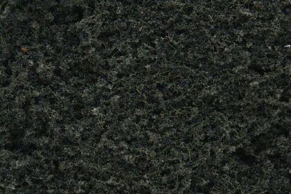 Foliage Conifer Green