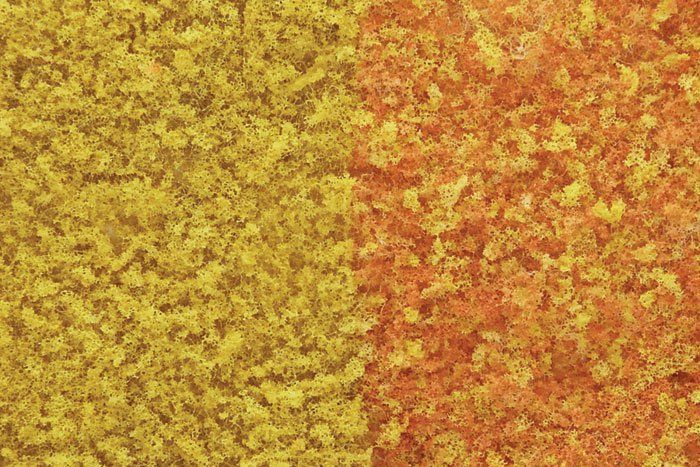 Foliage Early Fall Mix