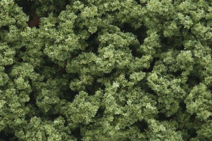 Clump-Foliage™ Light Green Small Bag