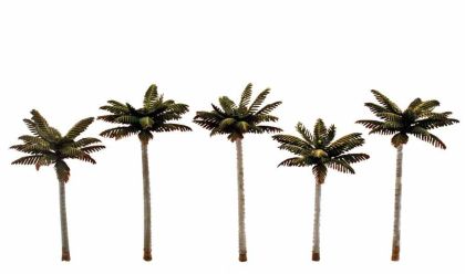 Palm Trees