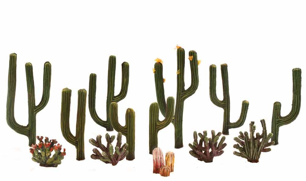 Cactus Plants