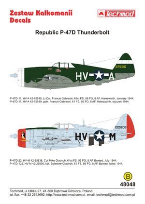 1:48 Republic P-47D Thunderbolt