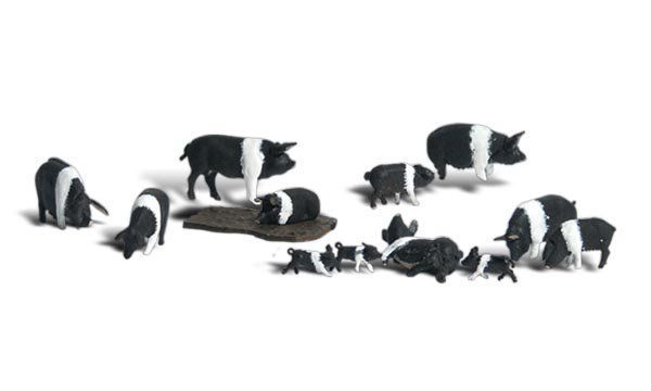 Hampshire Pigs - HO Scale