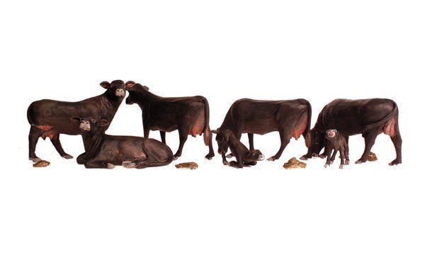 Black Angus Cows - HO Scale