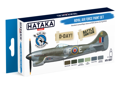 Royal Air Force paint set