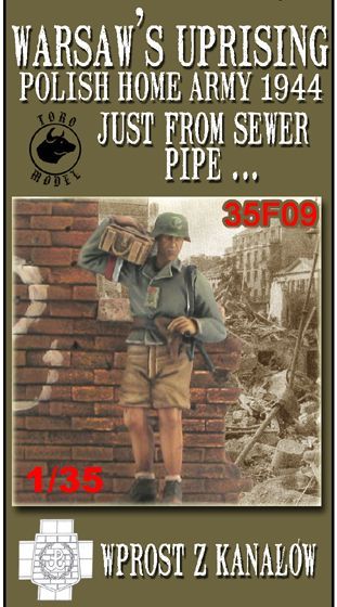 1:35 Warsaw's Uprising Just from Sewer Pipe