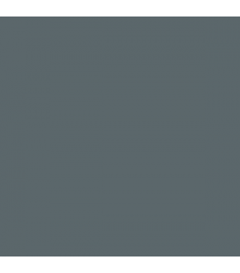 RAF Ocean Gray BS629