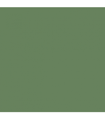 RAF Aircraft Gray Green BS283