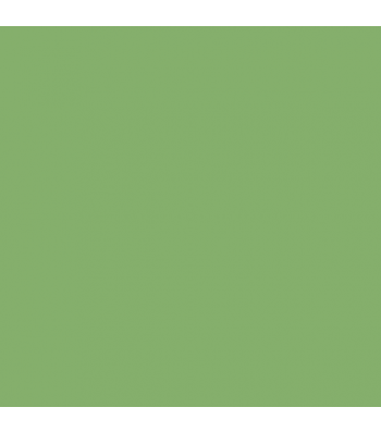 IJN Type22 Camouflage Color