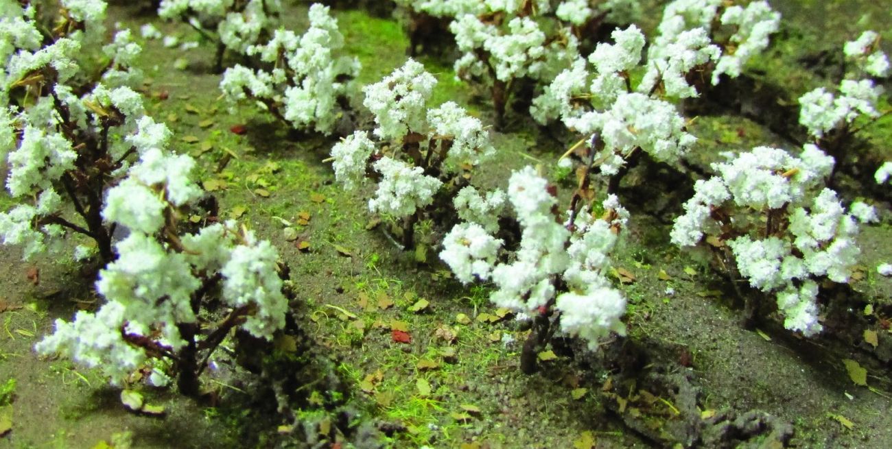 Bavlník, výška 1.3 cm, 40 ks