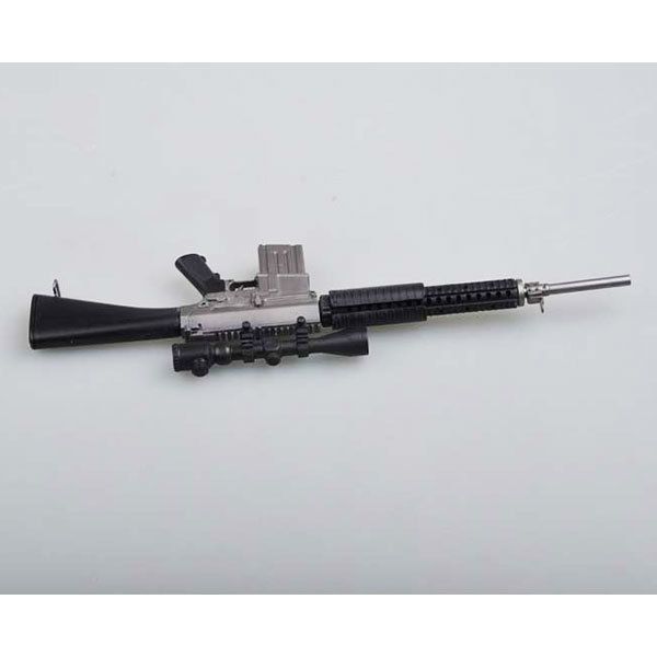 1:3 SR25 Rifle