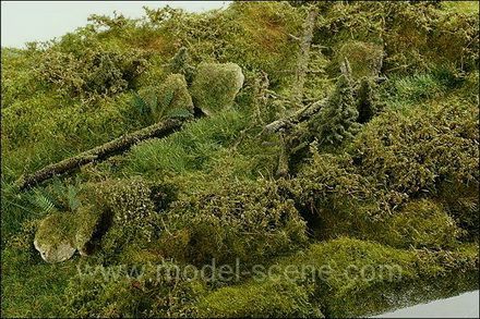 Forest spring area cca 18 x 28 cm.