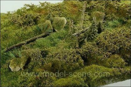 Forest spring area cca 18 x 28 cm.