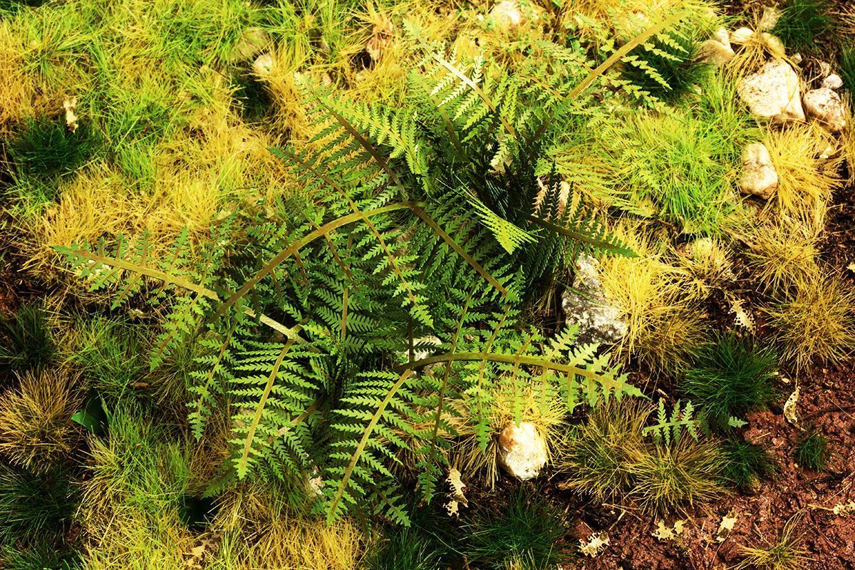 1/72 – 1/87 Vegetation Bracken Fern