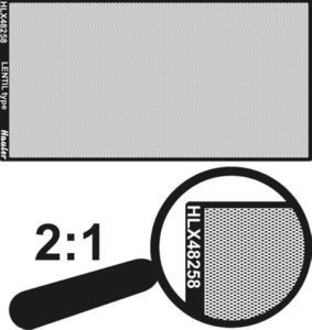1:48 engraved plate-LENTIL type (total dimensions 100x50mm)
