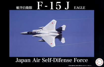 1:48 F-15J Tactical Fighter Training Group Aggressor No.908