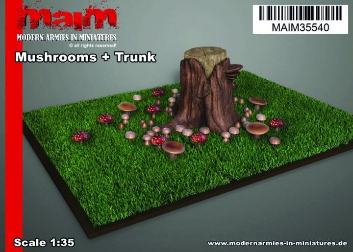 1:35 Mushrooms with Tree Trunk