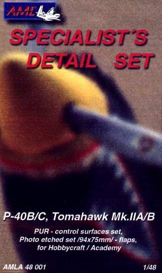 1:48 P-40B/C Detail Set (control surf.set,flaps)