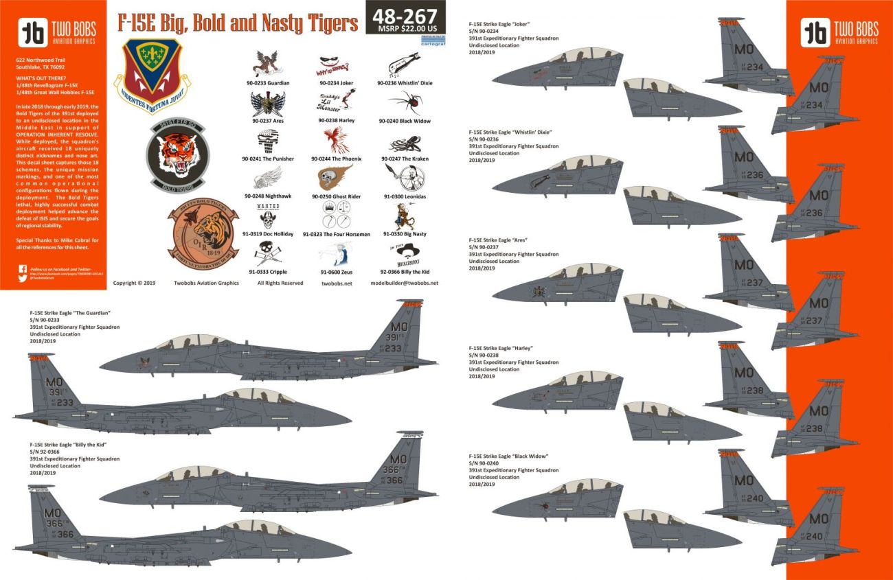 1:48 McDonnell F-15E Strike Eagle Nose art from the Tigers of Mountain Home AFB