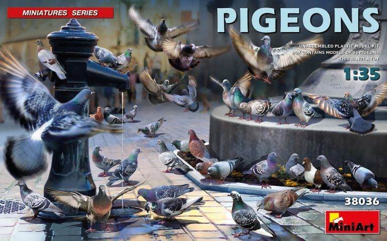 1:35 PIGEONS