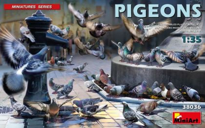 1:35 PIGEONS