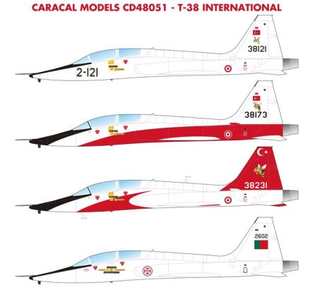 1:48 International Northrop T-38A