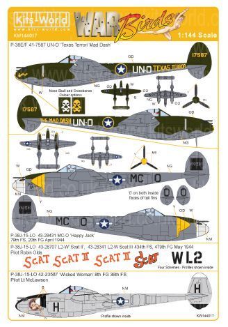 1:144 P-38 Lightnings