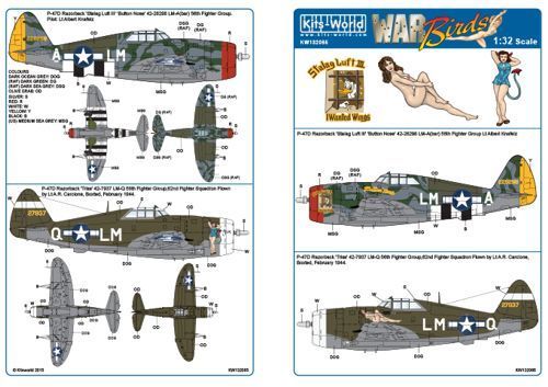 1:32 P-47D Razorbacks