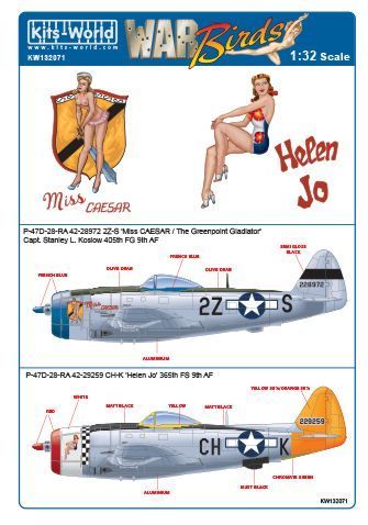 1:32 P-47D Bubbletop