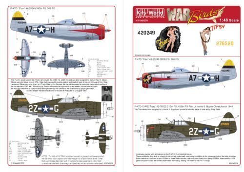 1:48 P-47 Thunderbolts