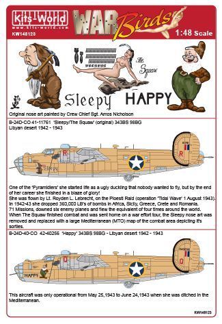 1:48 Consolidated B-24D