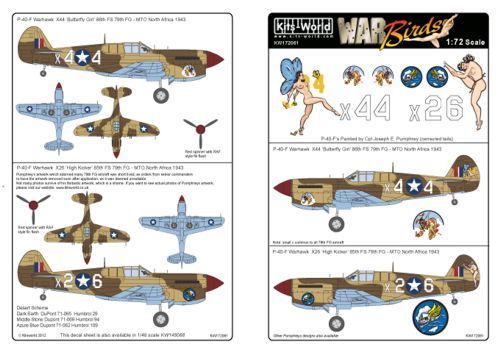 1:72 Curtiss P-40 Warhawks