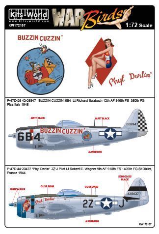 1:72 P-47D Thunderbolts Bubbletop