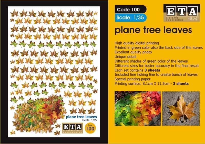 1:35 Plane tree leaves