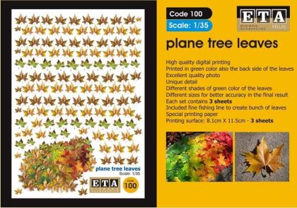 1:35 Plane tree leaves