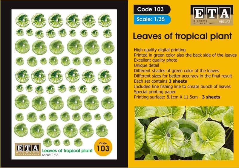 1:35 Leaves of tropical plant