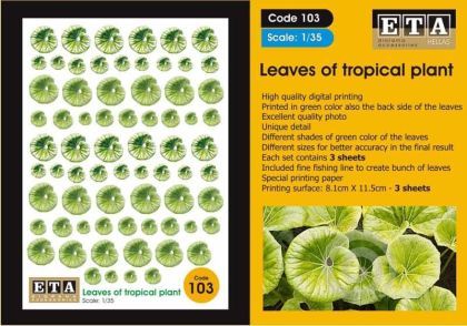 1:35 Leaves of tropical plant