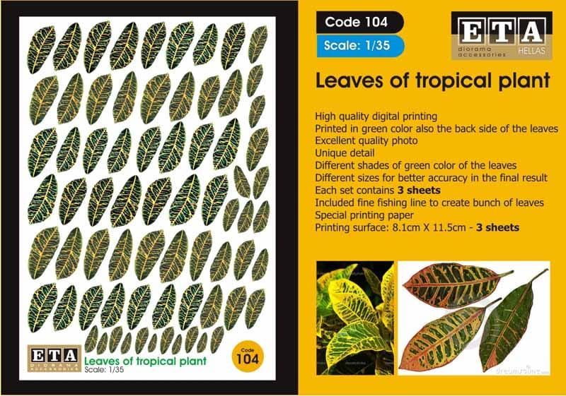1:35 Leaves of tropical plant