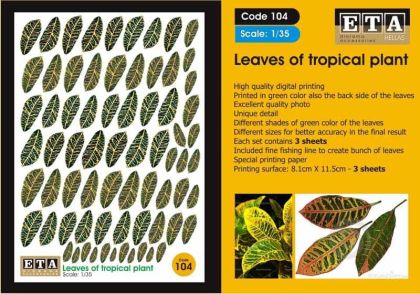 1:35 Leaves of tropical plant