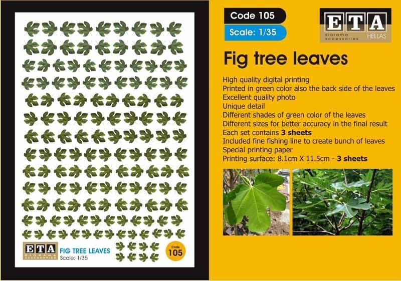 1:35 Fig tree leaves