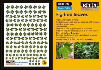 1:35 Fig tree leaves