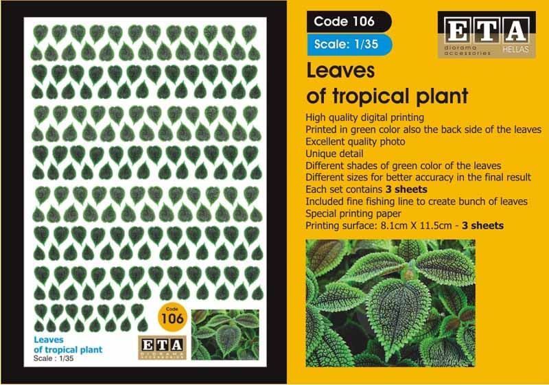 1:35 Leaves of tropical plant