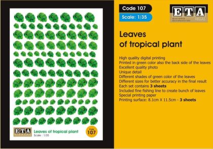 1:35 Leaves of tropical plant