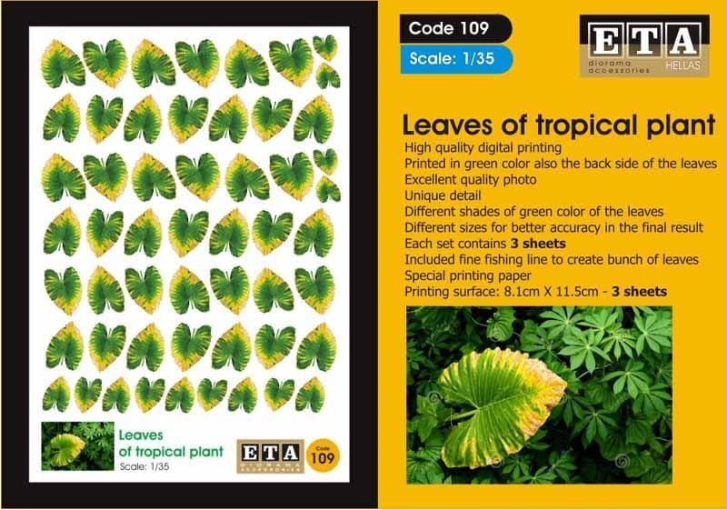1:35 Leaves of tropical plant