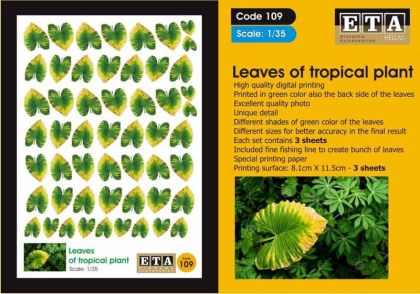 1:35 Leaves of tropical plant