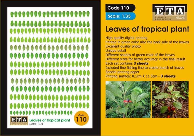 1:35 Leaves of tropical plant