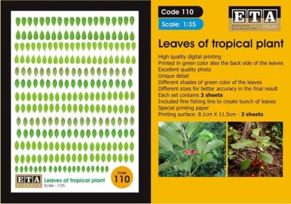 1:35 Leaves of tropical plant