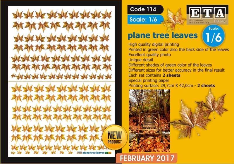 1:6 Plane Tree Leaves